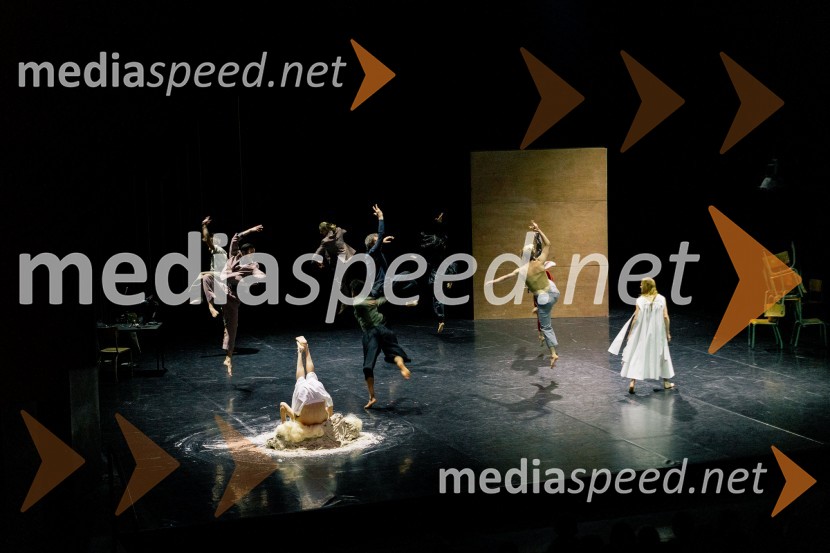 Wim Vandekeybus / Ultima Vez & KVS: roke se ne dotikajo tvojega dragocenega mene, plesna predstava v Cankarjevem domu