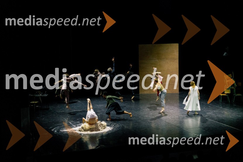 Wim Vandekeybus / Ultima Vez & KVS: roke se ne dotikajo tvojega dragocenega mene, plesna predstava v Cankarjevem domu