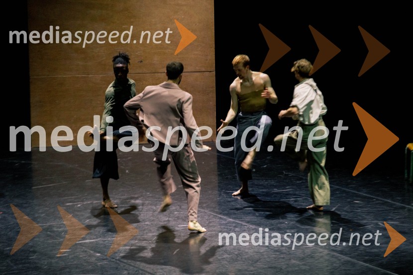 Wim Vandekeybus / Ultima Vez & KVS: roke se ne dotikajo tvojega dragocenega mene, plesna predstava v Cankarjevem domu