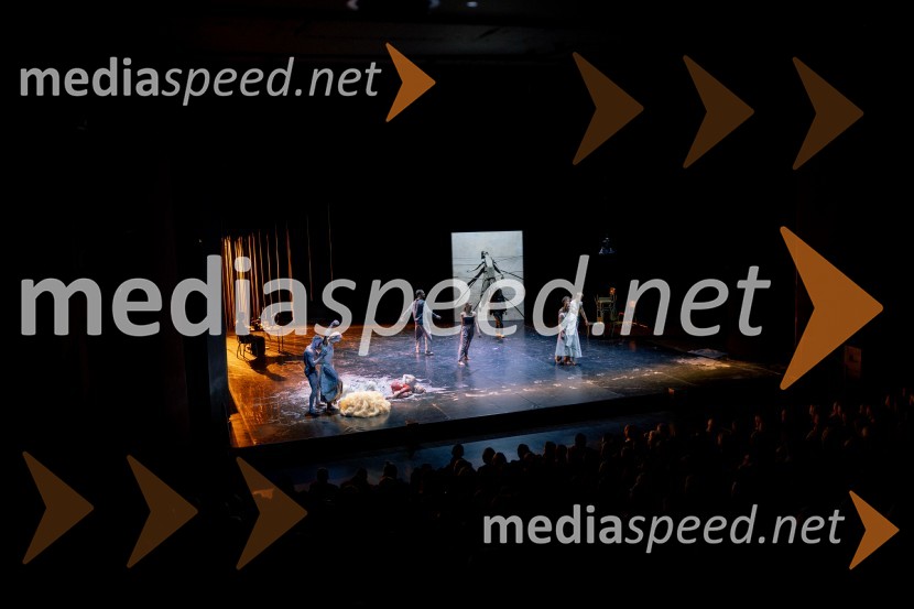 Wim Vandekeybus / Ultima Vez & KVS: roke se ne dotikajo tvojega dragocenega mene, plesna predstava v Cankarjevem domu