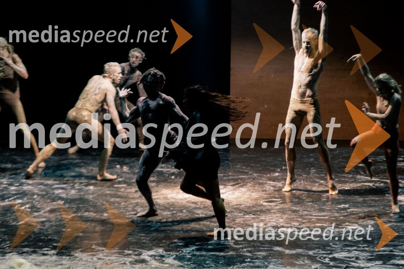 Wim Vandekeybus / Ultima Vez & KVS: roke se ne dotikajo tvojega dragocenega mene, plesna predstava v Cankarjevem domu