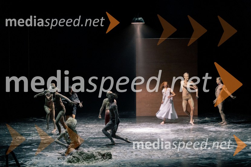 Wim Vandekeybus / Ultima Vez & KVS: roke se ne dotikajo tvojega dragocenega mene, plesna predstava v Cankarjevem domu