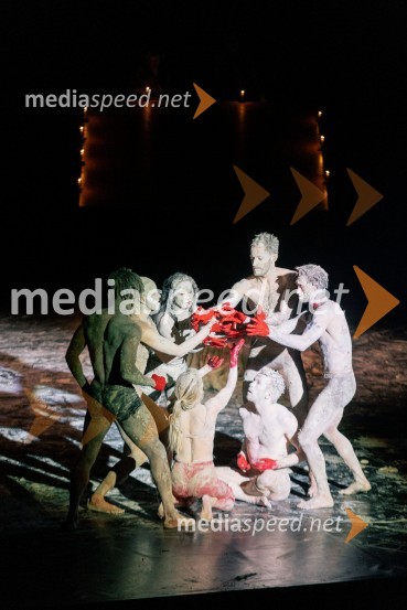 Wim Vandekeybus / Ultima Vez & KVS: roke se ne dotikajo tvojega dragocenega mene, plesna predstava v Cankarjevem domu