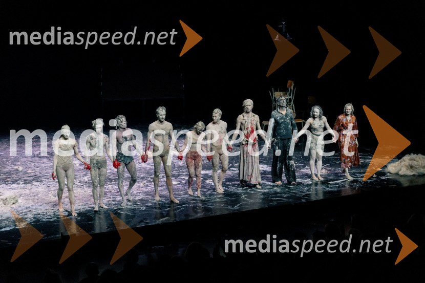 Wim Vandekeybus / Ultima Vez & KVS: roke se ne dotikajo tvojega dragocenega mene, plesna predstava v Cankarjevem domu