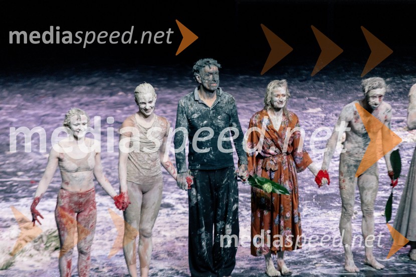 Wim Vandekeybus / Ultima Vez & KVS: roke se ne dotikajo tvojega dragocenega mene, plesna predstava v Cankarjevem domu