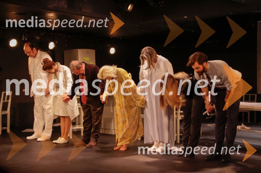  Matija Rozman, igralec;  Sabina  Kogovšek, igralka;  Bojan Emeršič, igralec;  Polona  Juh, igralka;  Maja Sever, igralka;  Eva Jesenovec, igralka;  Domen Novak, igralec Še vedno Alice, premiera drame v SNG Ljubljana