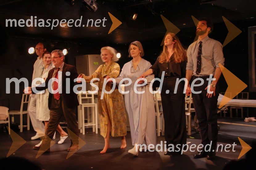  Matija Rozman, igralec;  Sabina  Kogovšek, igralka;  Bojan Emeršič, igralec;  Polona  Juh, igralka;  Maja Sever, igralka;  Eva Jesenovec, igralka;  Domen Novak, igralec Še vedno Alice, premiera drame v SNG Ljubljana