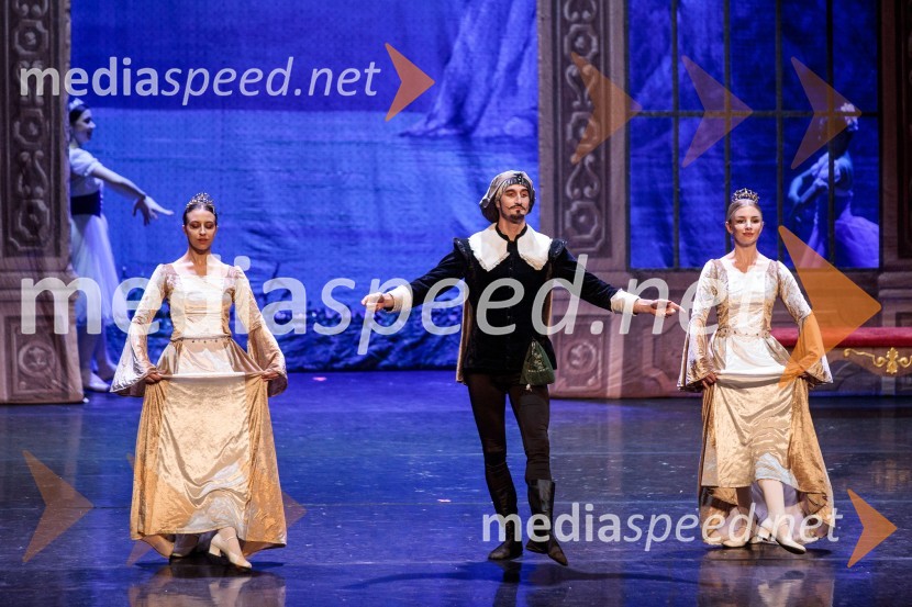 Labodje jezero, balet