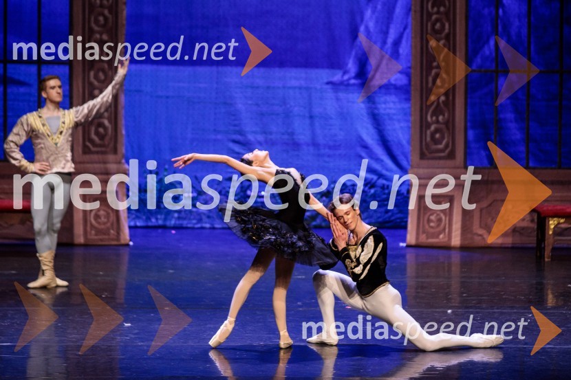 Labodje jezero, balet