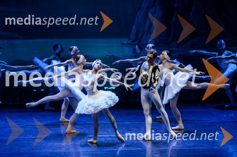 Labodje jezero, balet