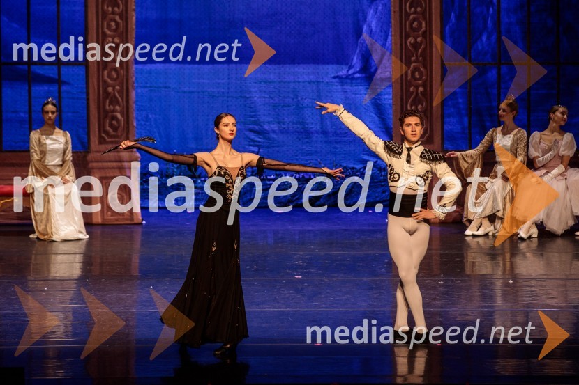 Labodje jezero, balet