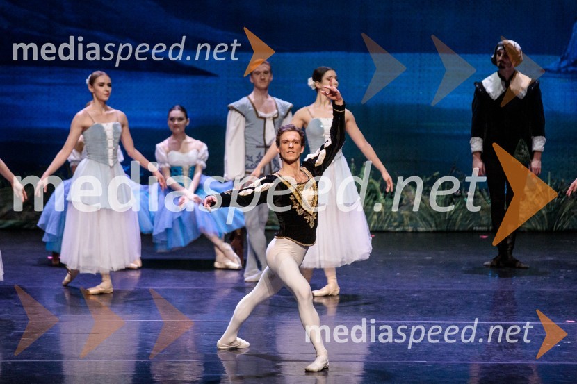 Labodje jezero, balet