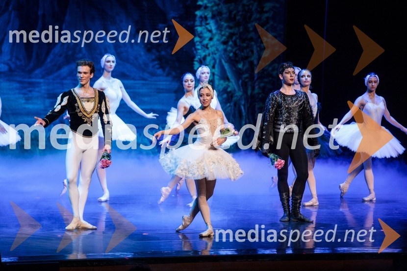 Labodje jezero, balet