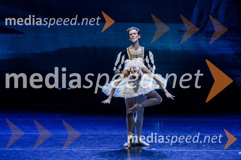 Labodje jezero, balet