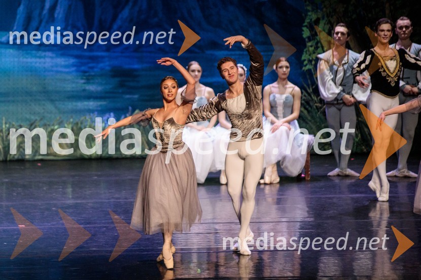 Labodje jezero, balet