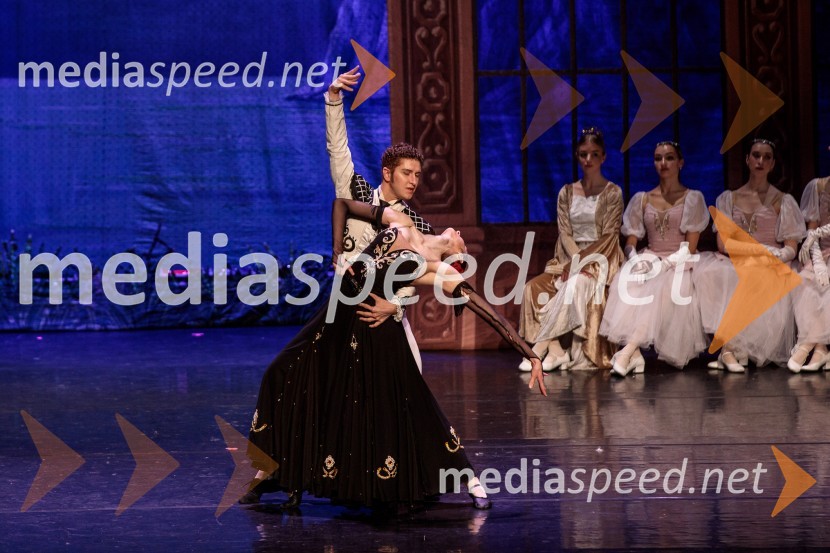 Labodje jezero, balet