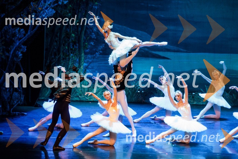 Labodje jezero, balet
