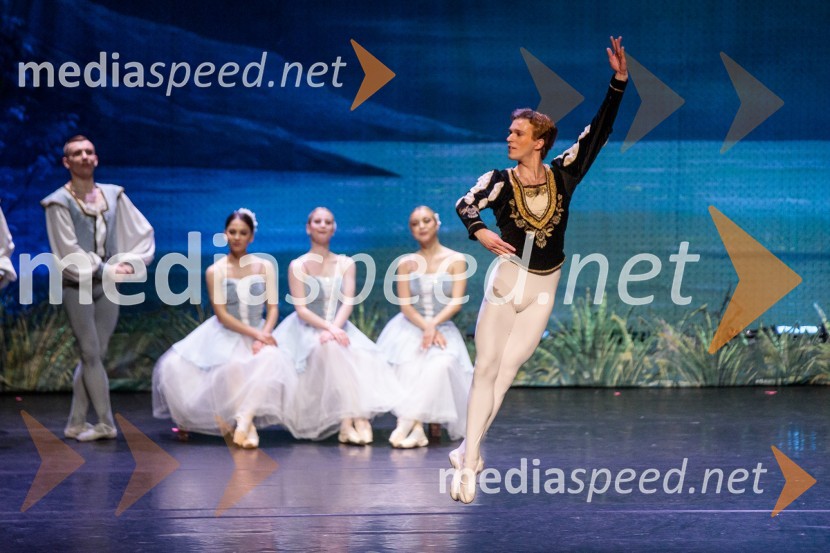 Labodje jezero, balet