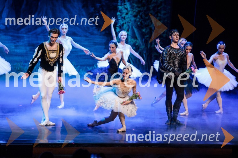 Labodje jezero, balet