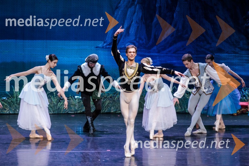 Labodje jezero, balet