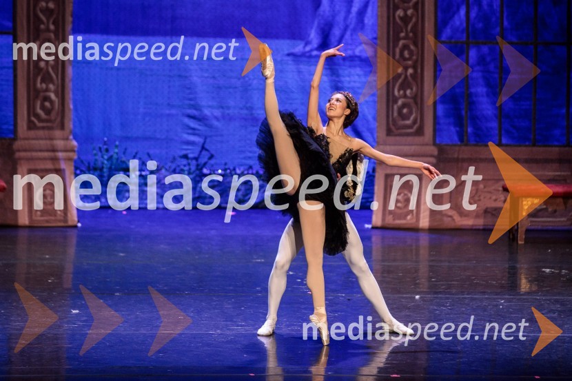 Labodje jezero, balet