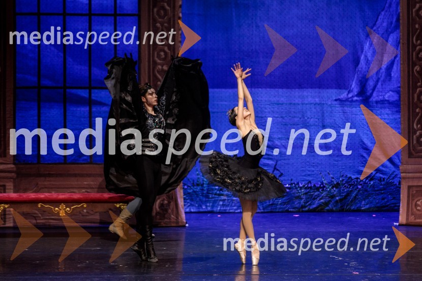 Labodje jezero, balet