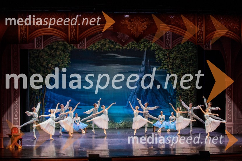 Labodje jezero, balet