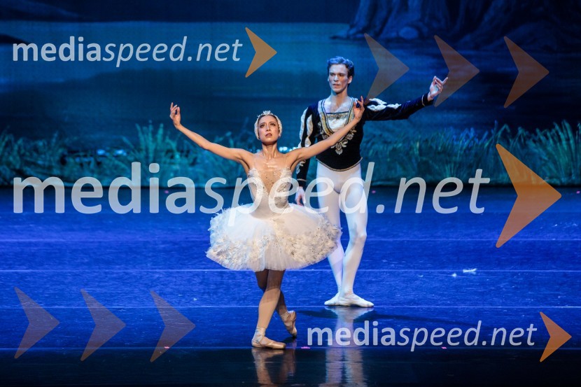 Labodje jezero, balet