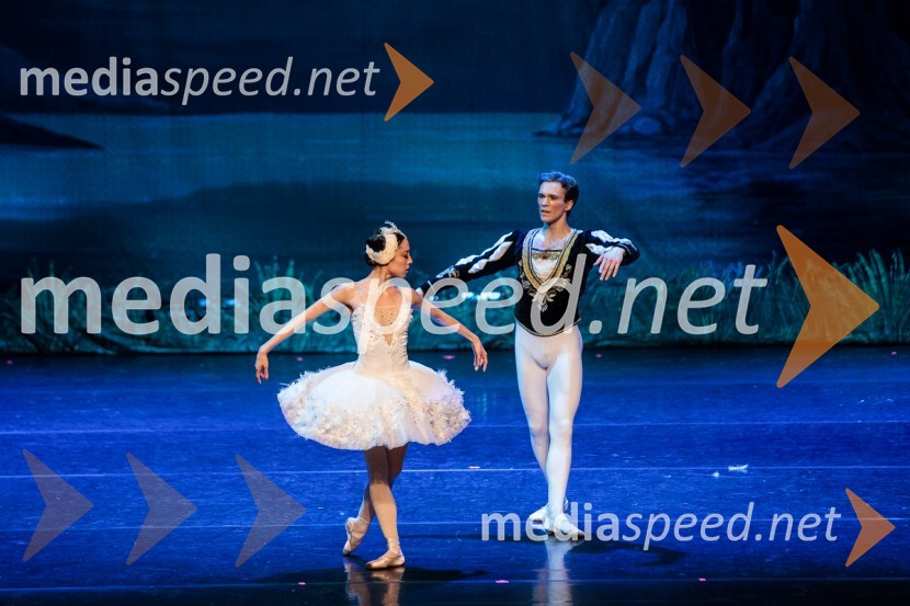 Labodje jezero, balet