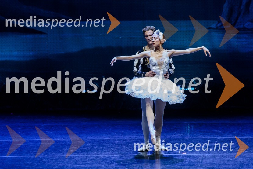 Labodje jezero, balet