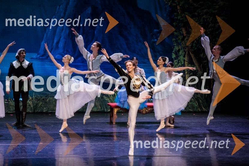 Labodje jezero, balet