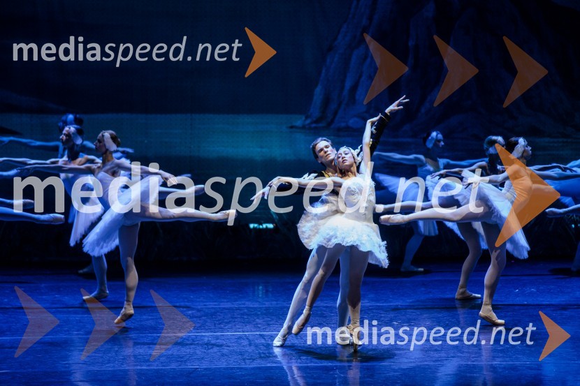 Labodje jezero, balet