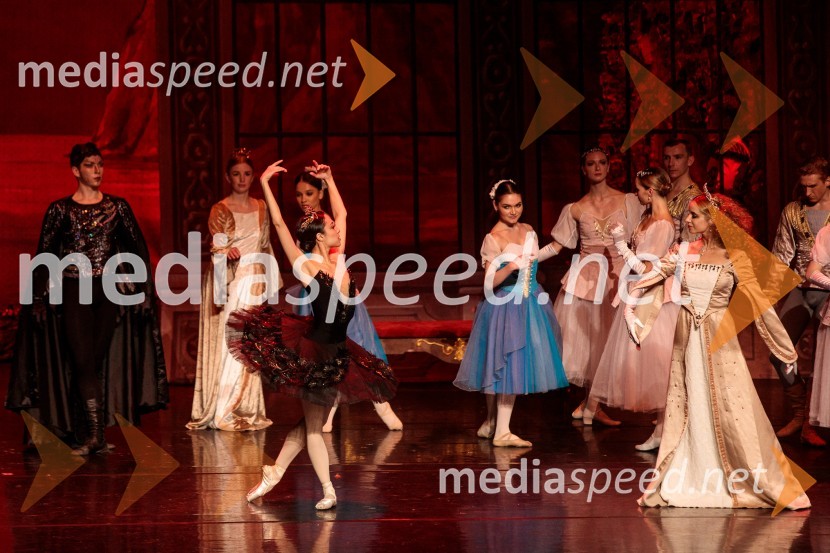 Labodje jezero, balet