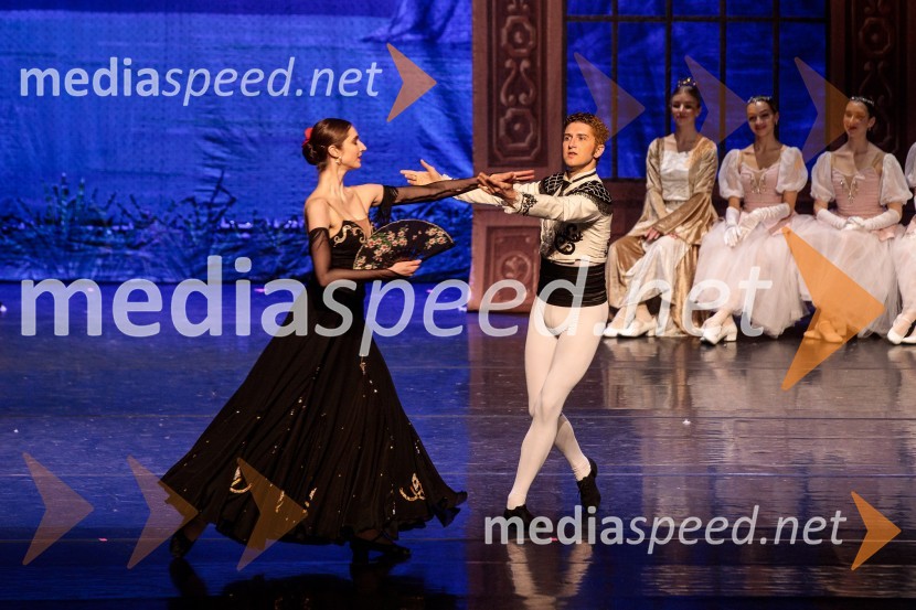 Labodje jezero, balet