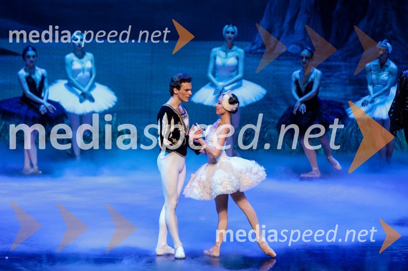 Labodje jezero, balet