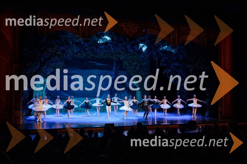 Labodje jezero, balet