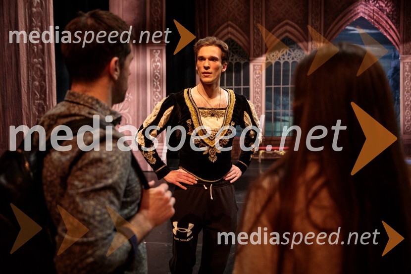 Labodje jezero, balet