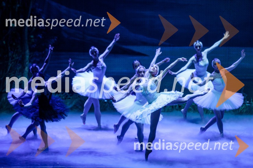 Labodje jezero, balet