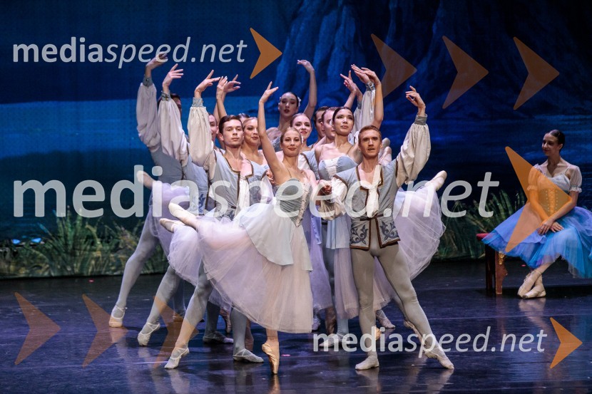 Labodje jezero, balet