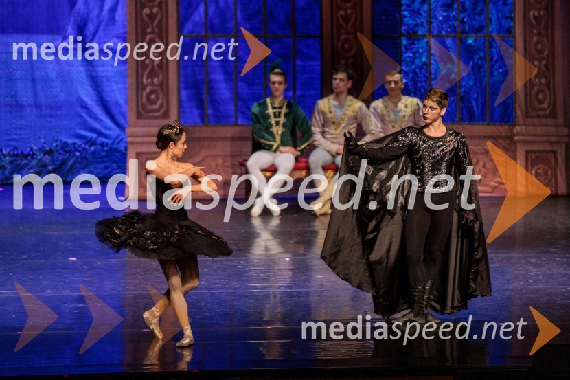 Labodje jezero, balet