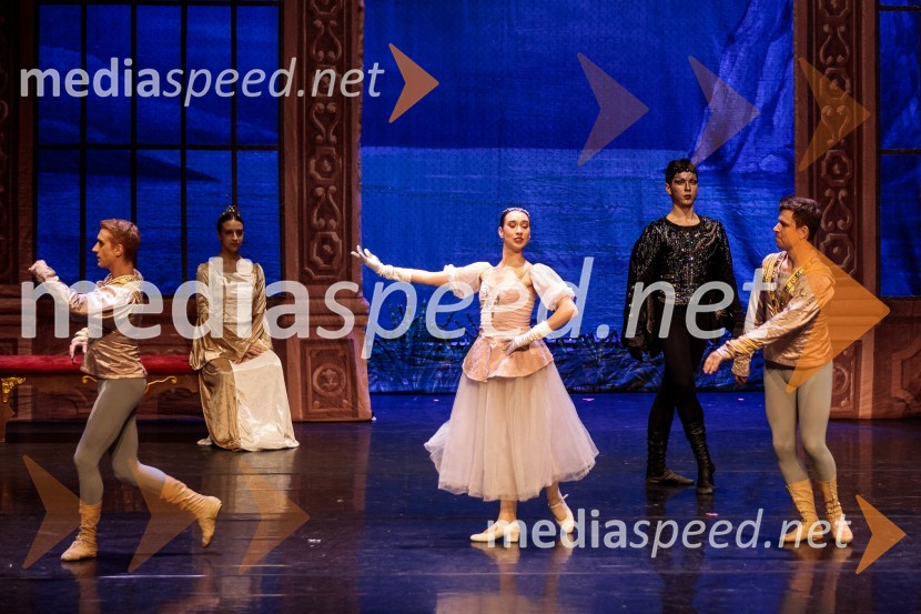 Labodje jezero, balet