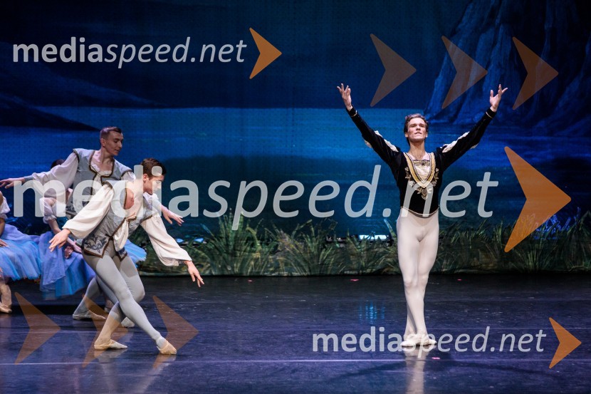 Labodje jezero, balet