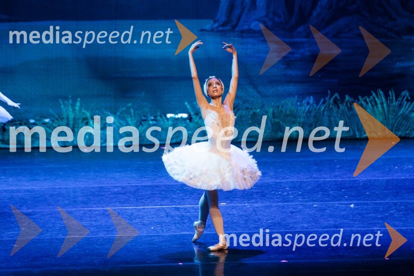 Labodje jezero, balet