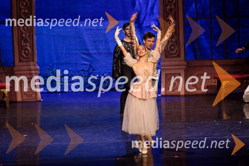 Labodje jezero, balet