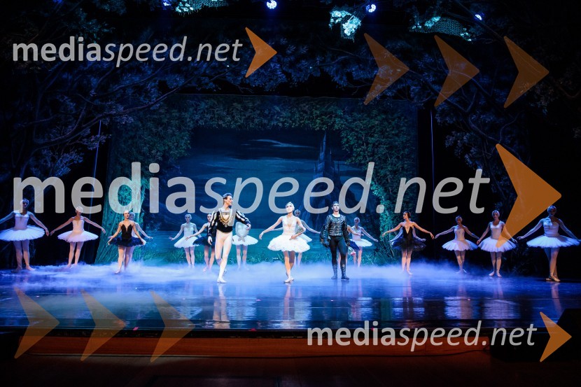 Labodje jezero, balet