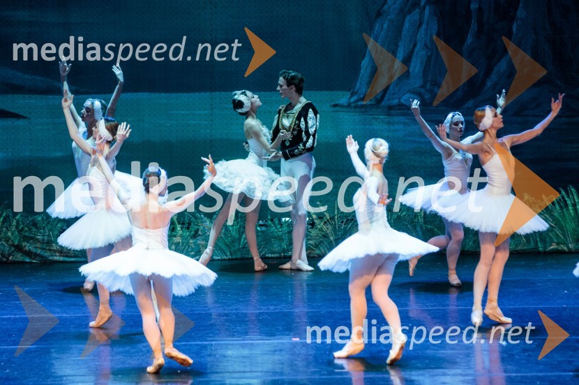 Labodje jezero, balet