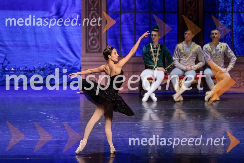 Labodje jezero, balet