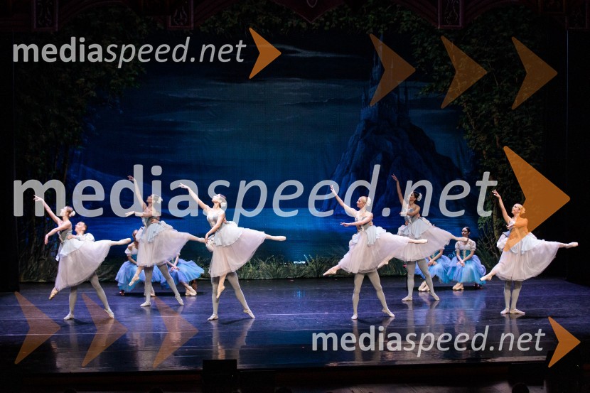 Labodje jezero, balet