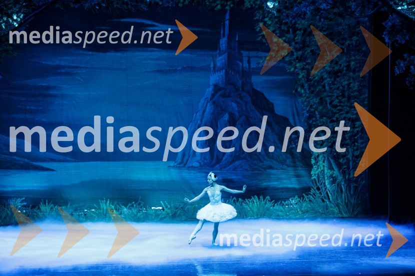 Labodje jezero, balet