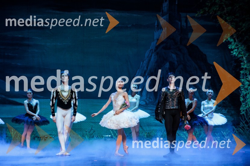 Labodje jezero, balet